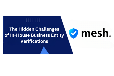 Part 1 of 3: The Hidden Challenges of In-House Business Identity Verification